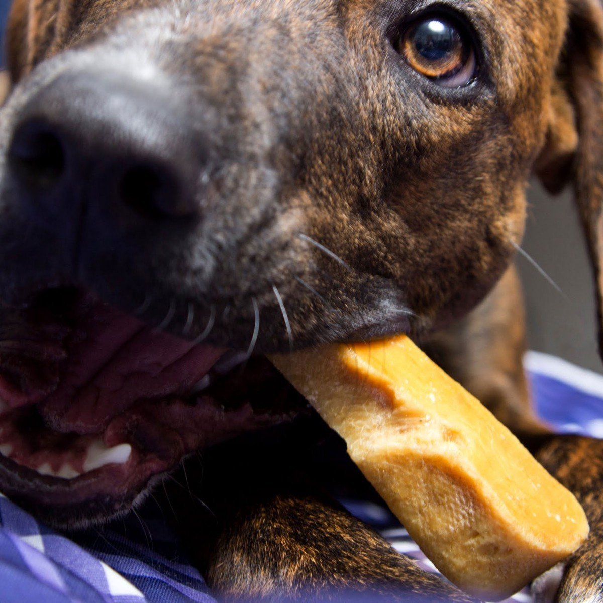 “Long-Lasting Yak Chews for Large Dogs (100% Natural)”